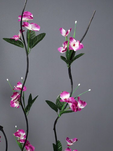 Сухоцвет набор 5 штук 160 см СИРЕНЕВЫЕ цветы / 39-3 /уп 160/641066