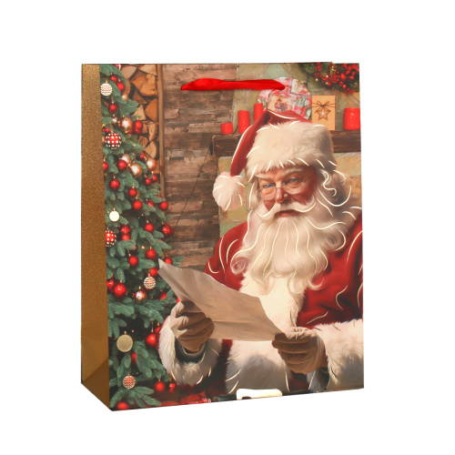 Пакет подарочный Новый год 26х32x10см / 3033-2 /уп 12/480/микс/210г/м2