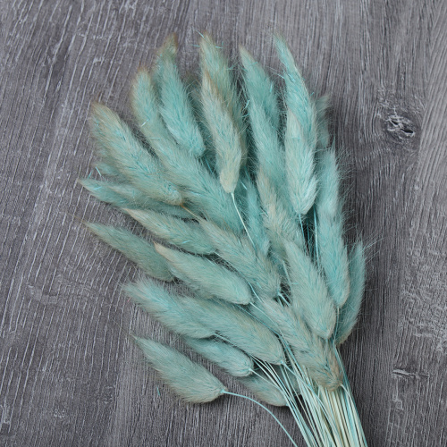 Сухоцвет 60 штук набор 68 см Лагурус / SG-011 /уп 300/бирюзовый