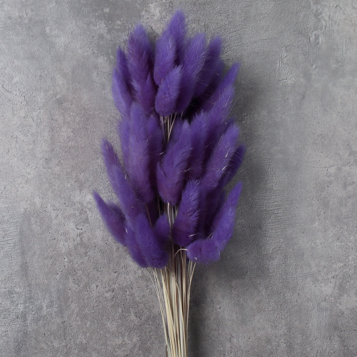 Сухоцвет 60 штук набор 68 см Лагурус / SG-009 /уп 300/лавандовый