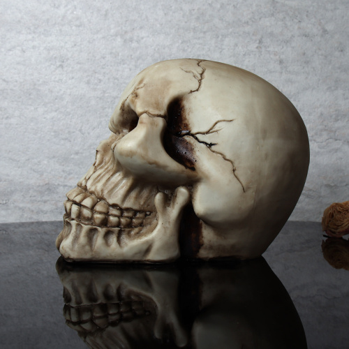 Копилка Череп 15 см / KY-19 /уп 24/Хэллоуин