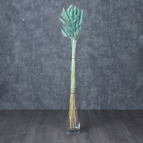 Сухоцвет 60 штук набор 68 см Лагурус / SG-011 /уп 300/бирюзовый