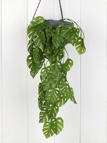 Зелень искусственная 78 см Монстера / 5-45-592P /уп 2/300/
