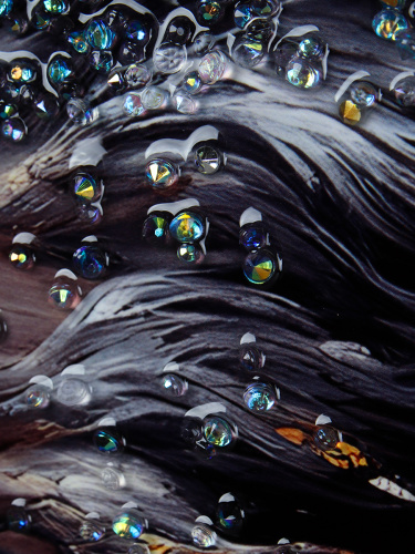 Картина 50х70 Лошадь / DA-0769 /уп 18/стразы