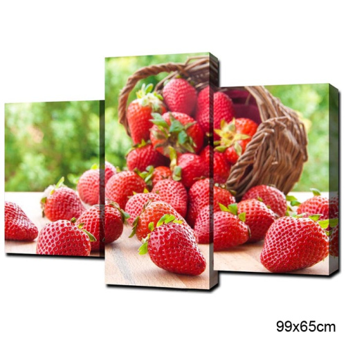 Модульная картина 3 элемента 99х65 / Q-303 /