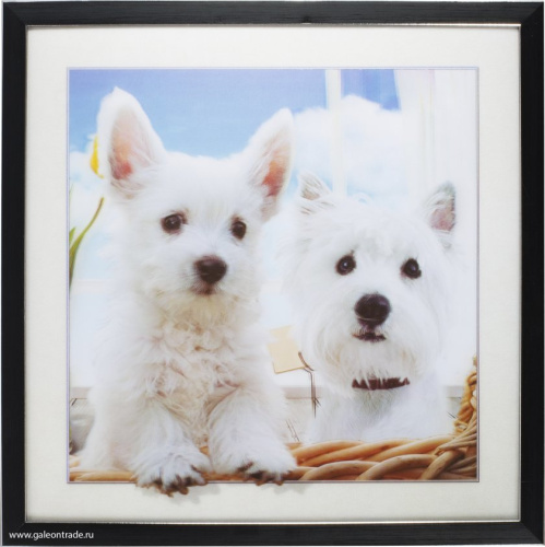 Картина 5D 40х40 MX-202 Друзья/ KS1912-3 /