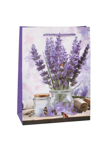 Пакет подарочный 24х18х8,5 / 9265-1 /уп 12/720/