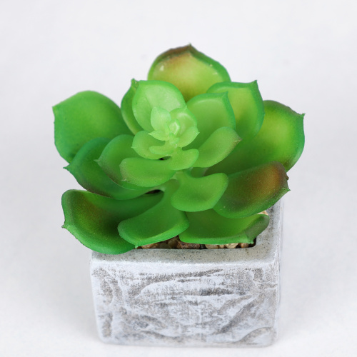 Цветочная композиция Кактус / WER-21 /уп 12/192/ микс