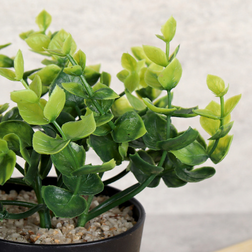 Цветочная композиция Зелень 18 см / CW414-6 /уп 96/