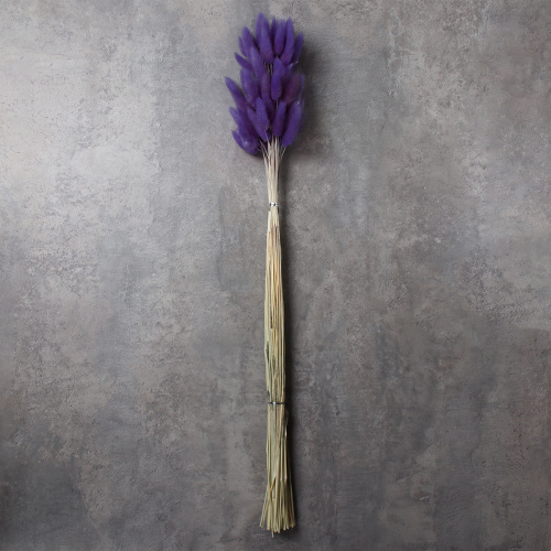 Сухоцвет 60 штук набор 68 см Лагурус / SG-009 /уп 300/лавандовый