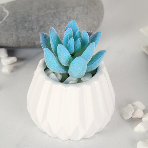 Суккулент искусственный 5х7 см / GN144 /уп 100/