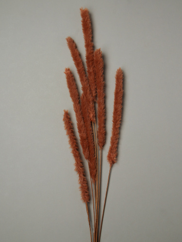 Ветка декоративная 7 веток 80 см / RW-316-1 /уп 12/144/коричневый