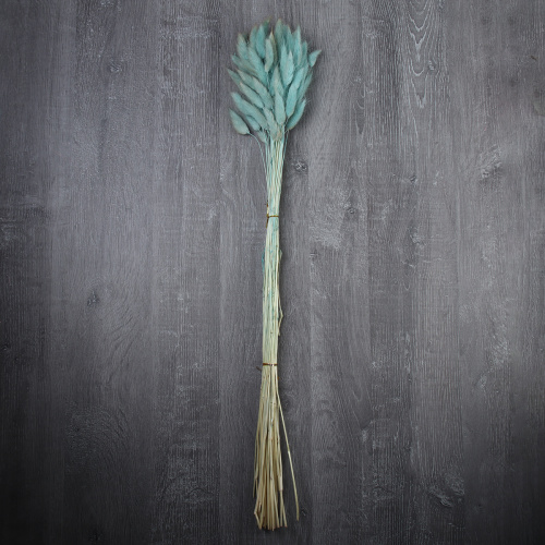 Сухоцвет 60 штук набор 68 см Лагурус / SG-011 /уп 300/бирюзовый