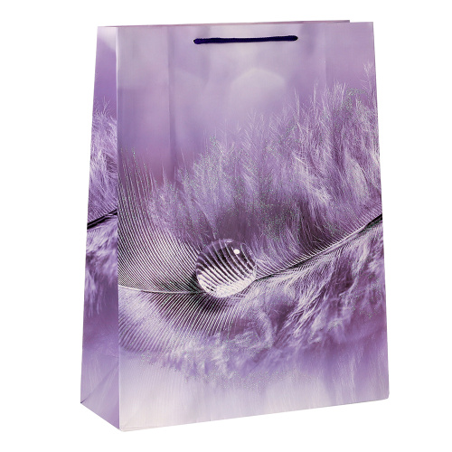 Пакет подарочный 31x40x12 / 24824L /уп 12/360/