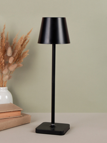 Светильник настольный 24/37 см черный / CW182609-10 /уп 60/USB