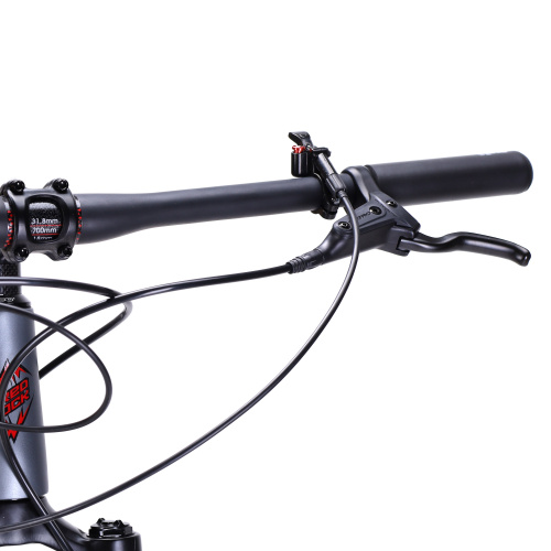 Велосипед горный 29" ZEON RED ROCK карбоновый 17',  L-TWOO 12SP 11-50T, AIR, оси, карбовтулки, гидравлика. цвет: серебристый silver singularity