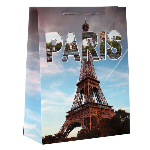 Пакет подарочный 26x32x10 / 24817M /уп 12/480/