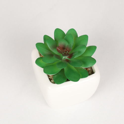 Цветочная композиция Кактус / FA2890 /уп 12/192/