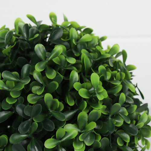 Самшит-шар 20 см / 687034 /уп 10/90/много листьев