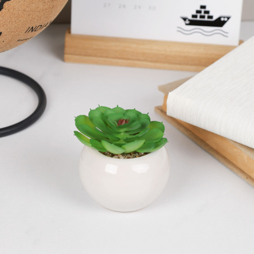 Цветочная композиция Кактус / FA2889 /уп 12/192/