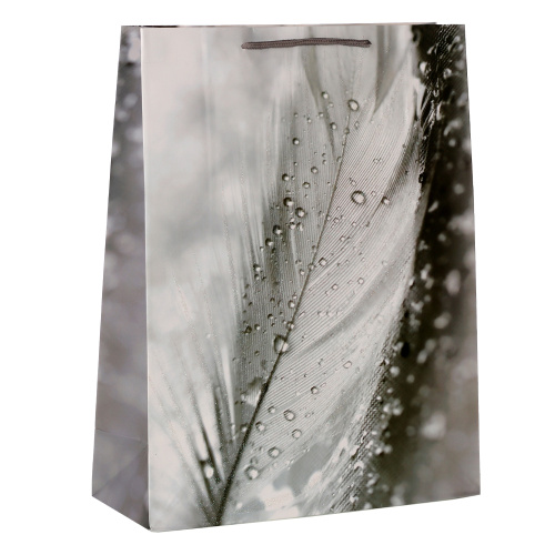 Пакет подарочный 31x40x12 / 24824L /уп 12/360/